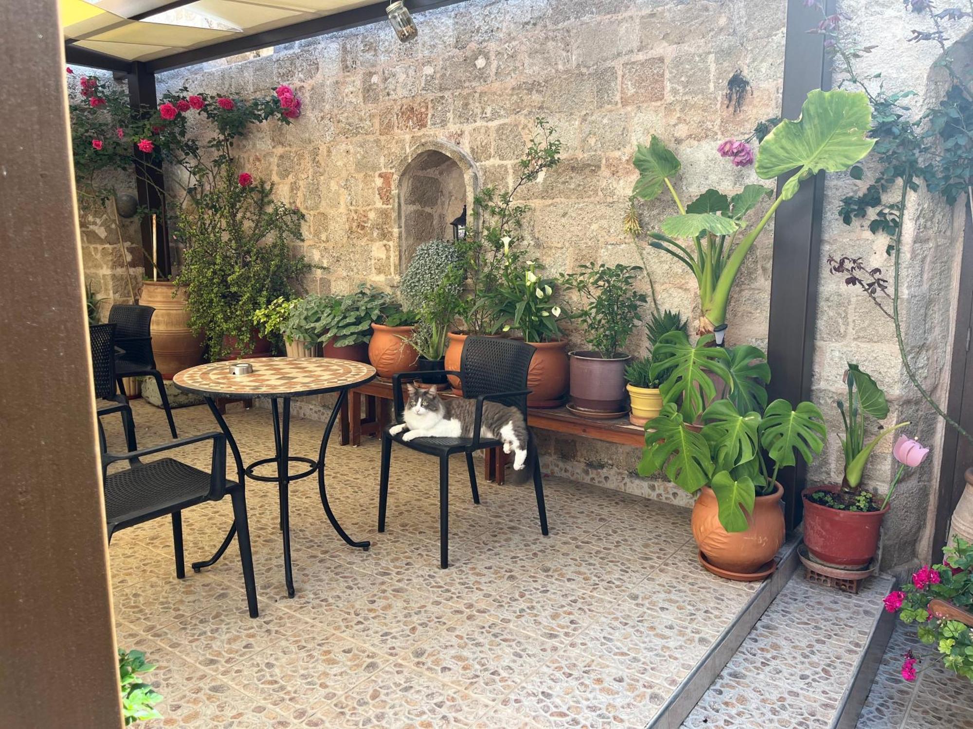 Eleni Rooms Rhodes City Bagian luar foto